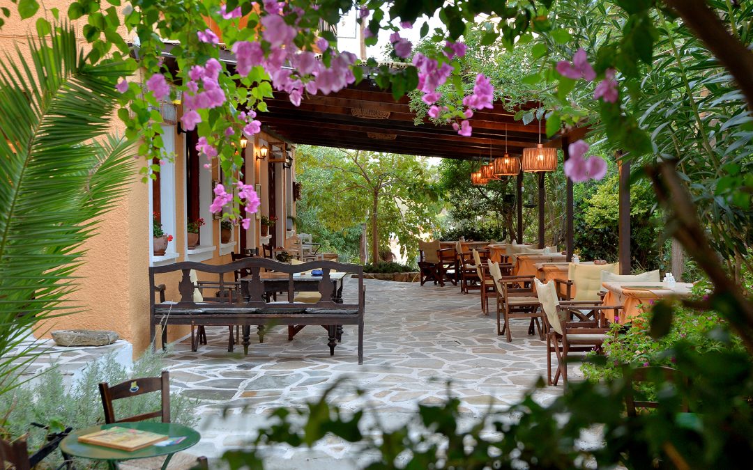 DSC_7674 copy Outdoor dining area with tables and chairs