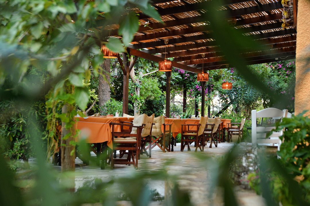 Outdoor dining area with tables and chairs