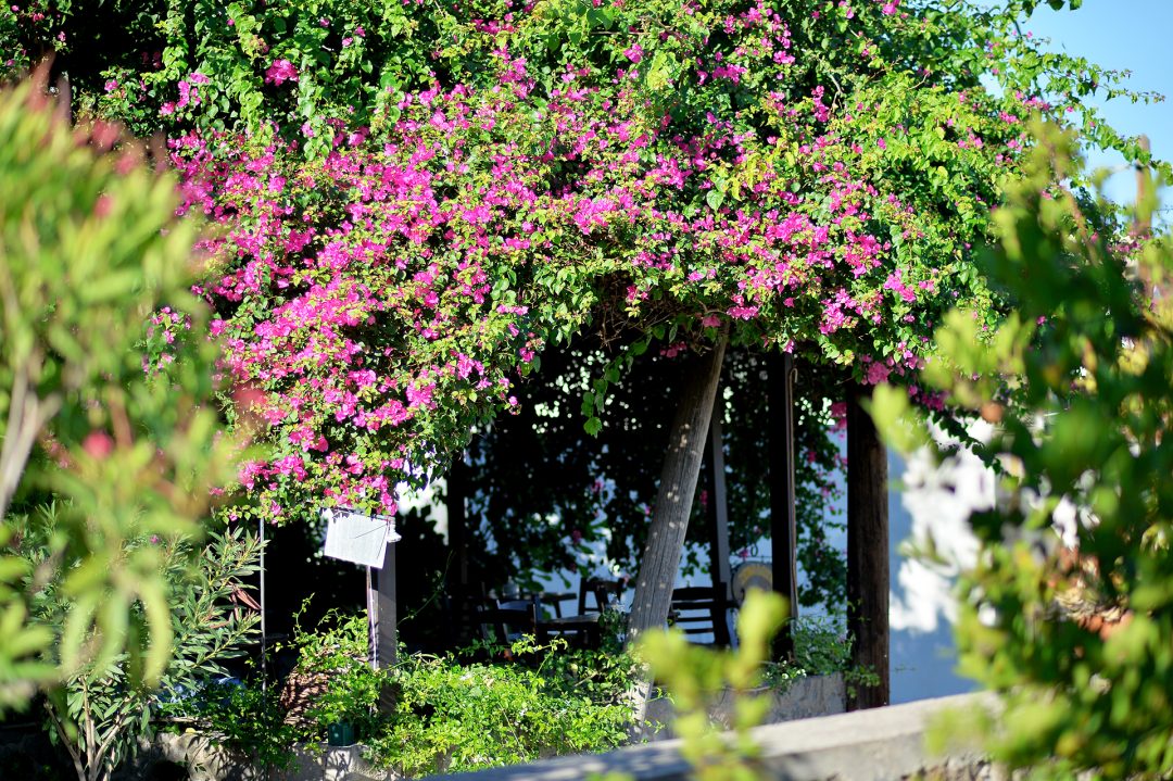 Vagia Traditional Hotel exterior nestled in Aegina Greece